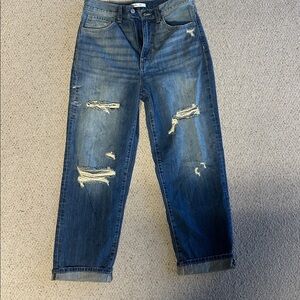 Willow and root the vintage dad jean